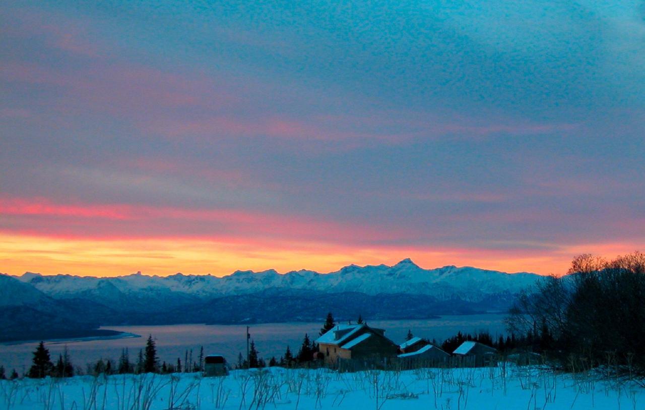 The Husky Ranch Konuk evi Homer Dış mekan fotoğraf