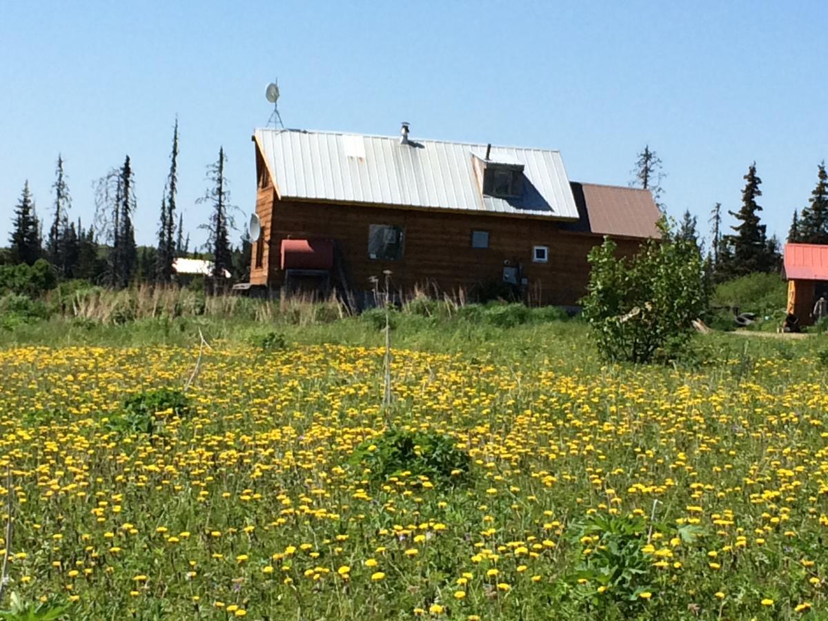 The Husky Ranch Konuk evi Homer Dış mekan fotoğraf