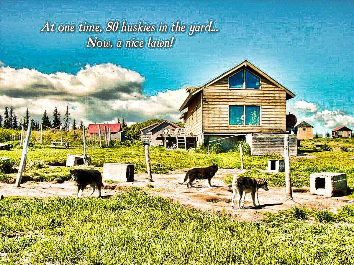 The Husky Ranch Konuk evi Homer Dış mekan fotoğraf