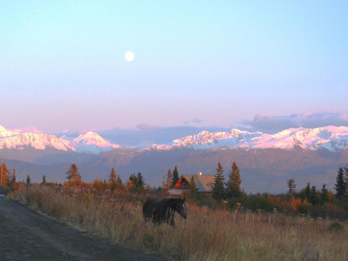 The Husky Ranch Konuk evi Homer Dış mekan fotoğraf